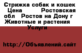 Стрижка собак и кошек › Цена ­ 800 - Ростовская обл., Ростов-на-Дону г. Животные и растения » Услуги   